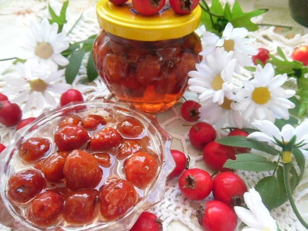 Пастила из яблок и красной смородины в сушилке: рецепт пошагово
