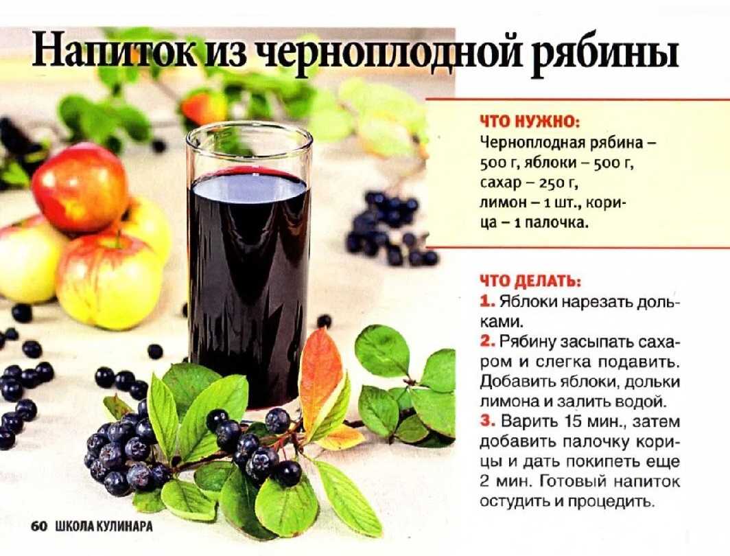 Черноплодная рябина на зиму: 20 лучших рецептов заготовок