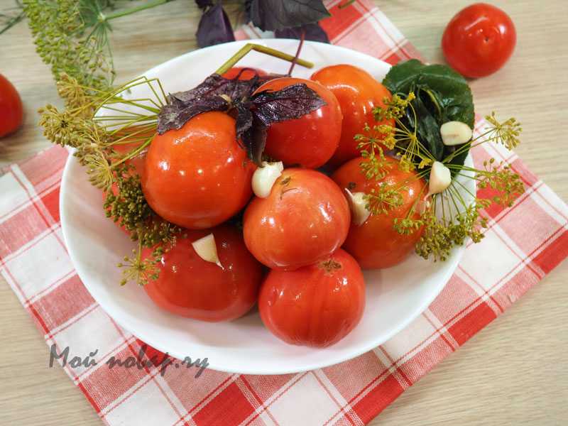 Соленые помидоры на зиму в банках — очень вкусные рецепты