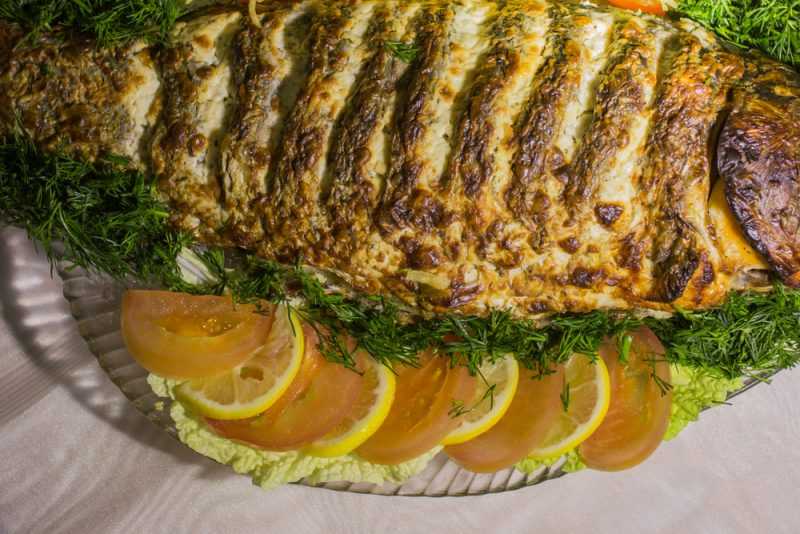 Как вкусно приготовить толстолобика и запечь его в духовке?