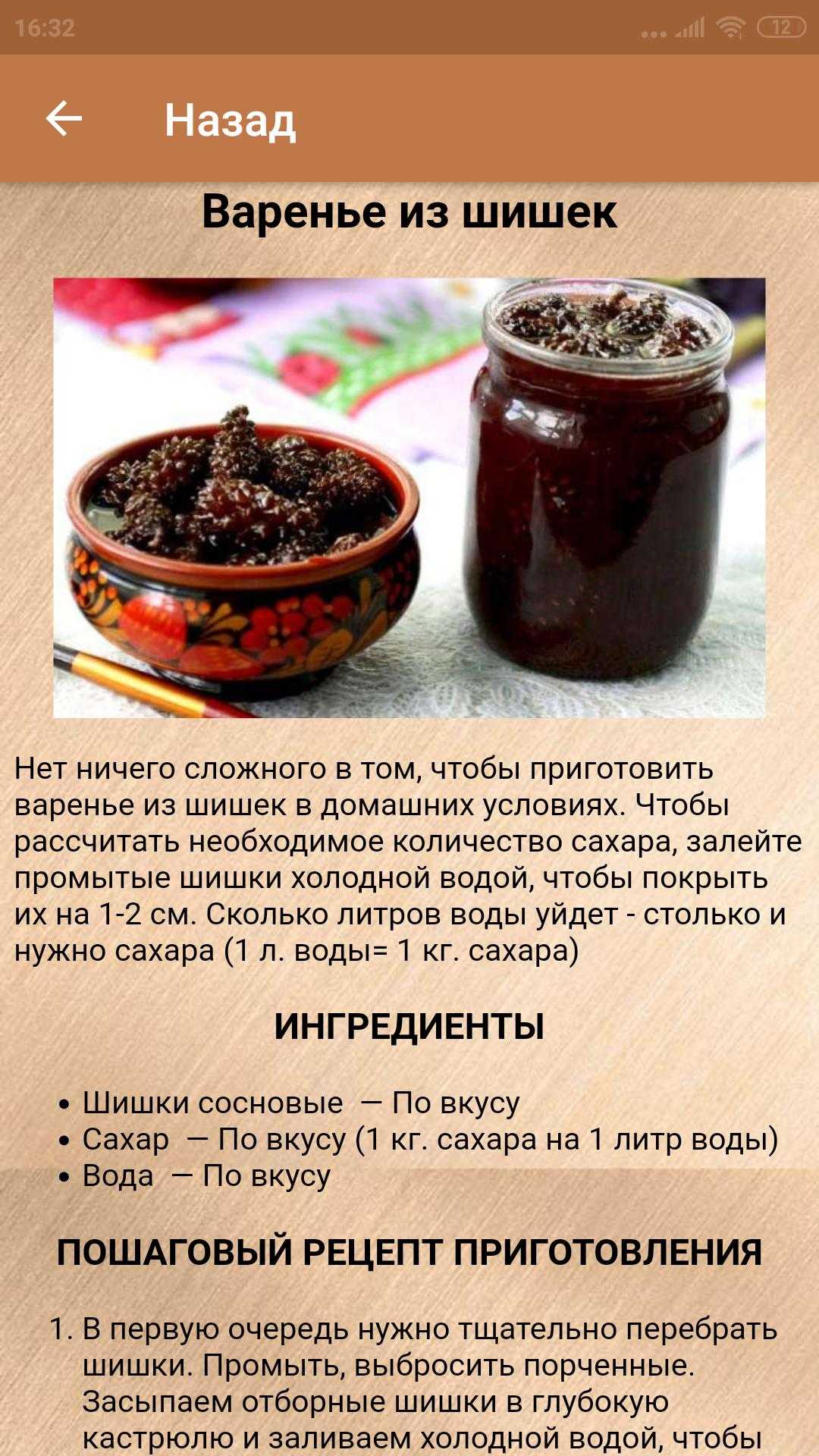 Варенье из сосновых шишек – лучшие рецепты, польза, возможный вред, как нужно принимать