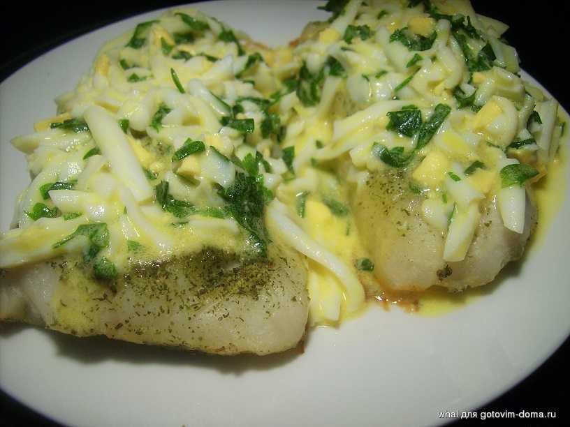 Самые вкусные рецепты из филе судака в духовке: топ-10