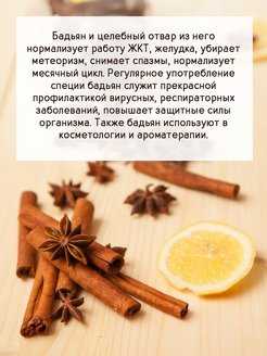 Про бадьян, его полезные свойства, применение в кулинарии и другое