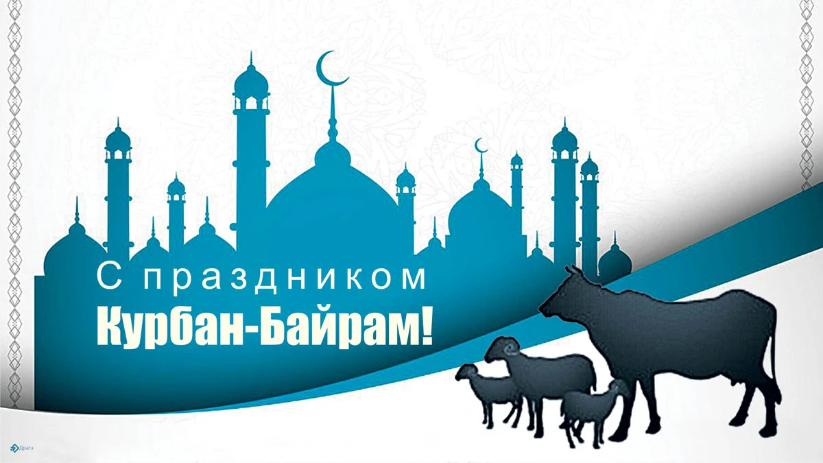 А вы знаете что такое курбан-байрам и как его празднуют?