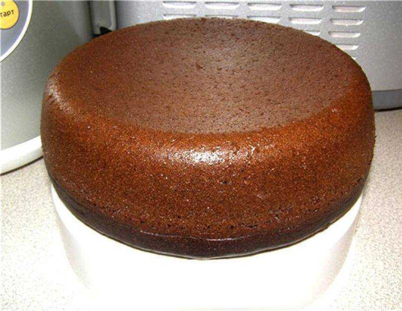 Шоколадный бисквит в мультиварке: простые и вкусные рецепты