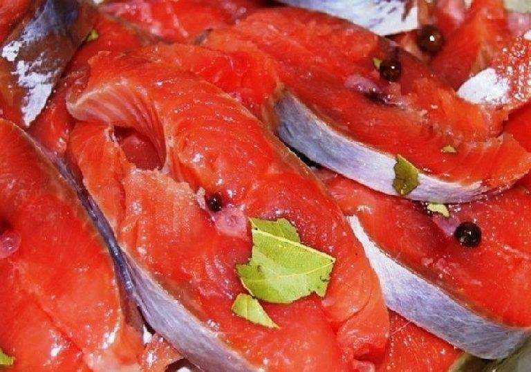 Как засолить горбушу быстро и вкусно? рецепты в домашних условиях
