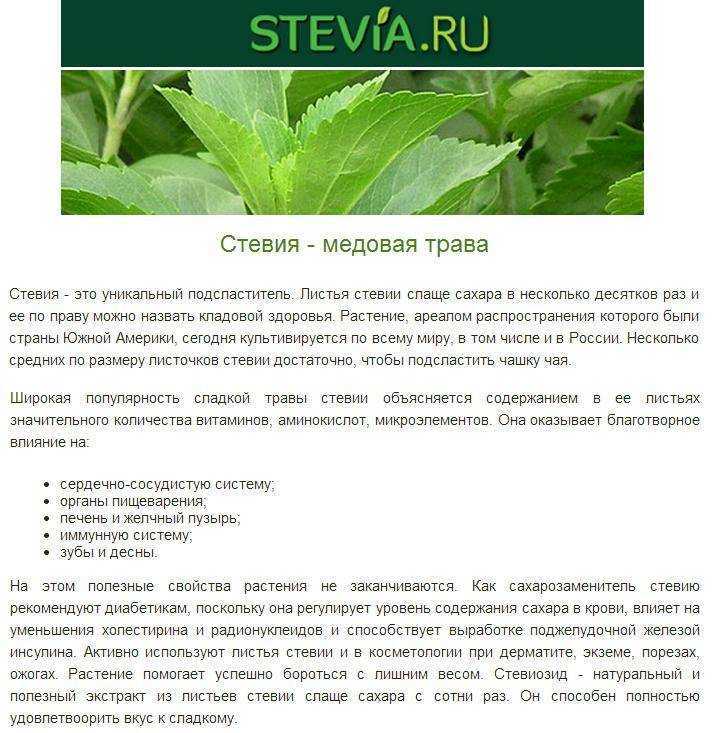 Стевия польза и вред