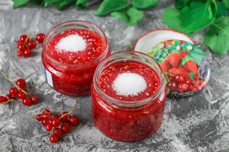 Маринованный чеснок с красной смородиной на зиму: 6 лучших рецептов с фото