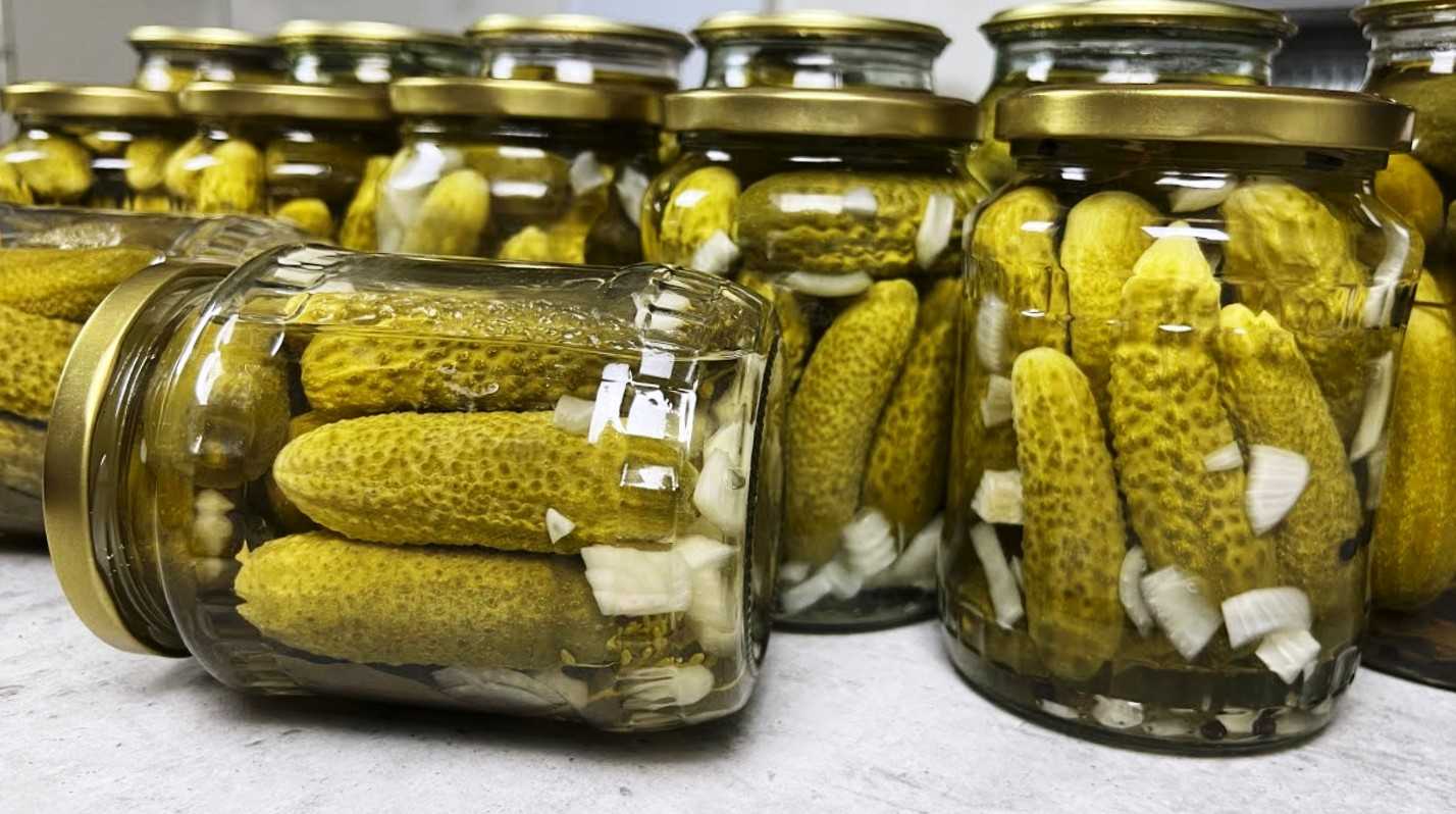 Соленые огурцы на зиму: 5 вкусных рецептов хрустящих огурцов в банках