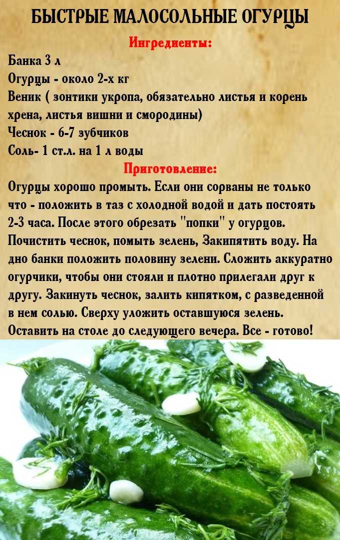 Соленые огурцы классический рецепт