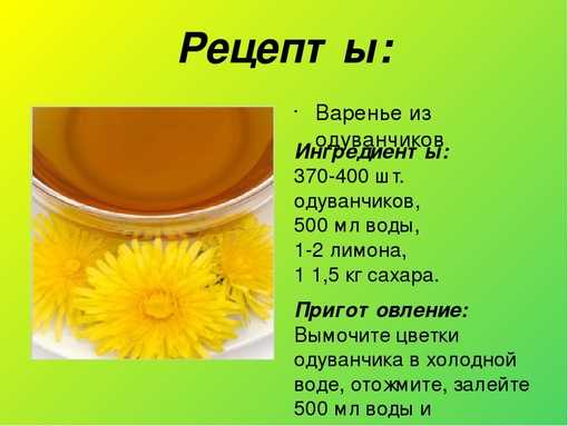 Рецепты приготовления варенья из одуванчиков и его полезные свойства