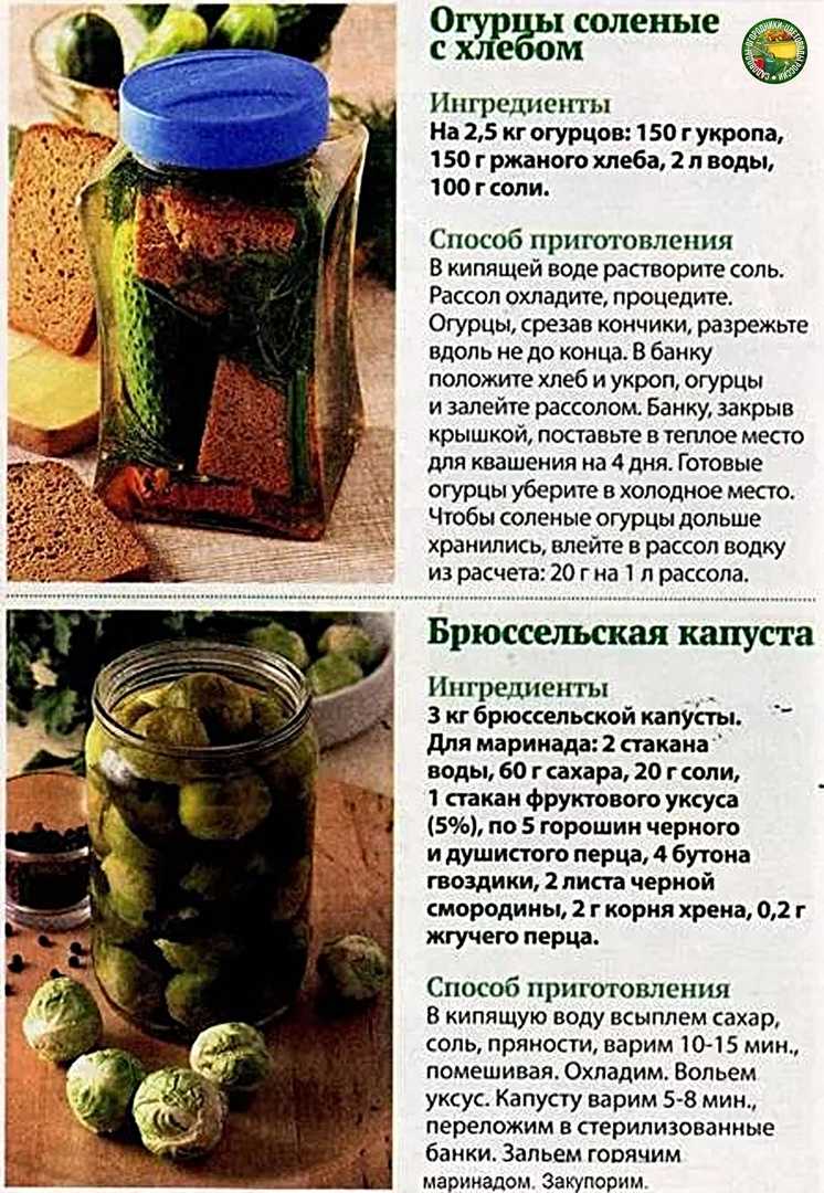Как мариновать огурцы с красной смородиной