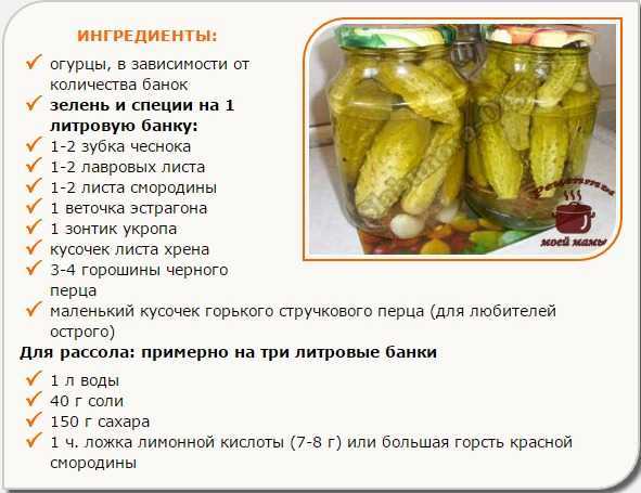 Маринованные хрустящие огурцы: 14 самых вкусных рецептов на зиму