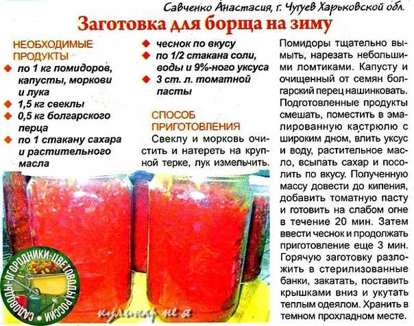 Вкусные щи на зиму в банках: 6 лучших рецептов с капустой и без