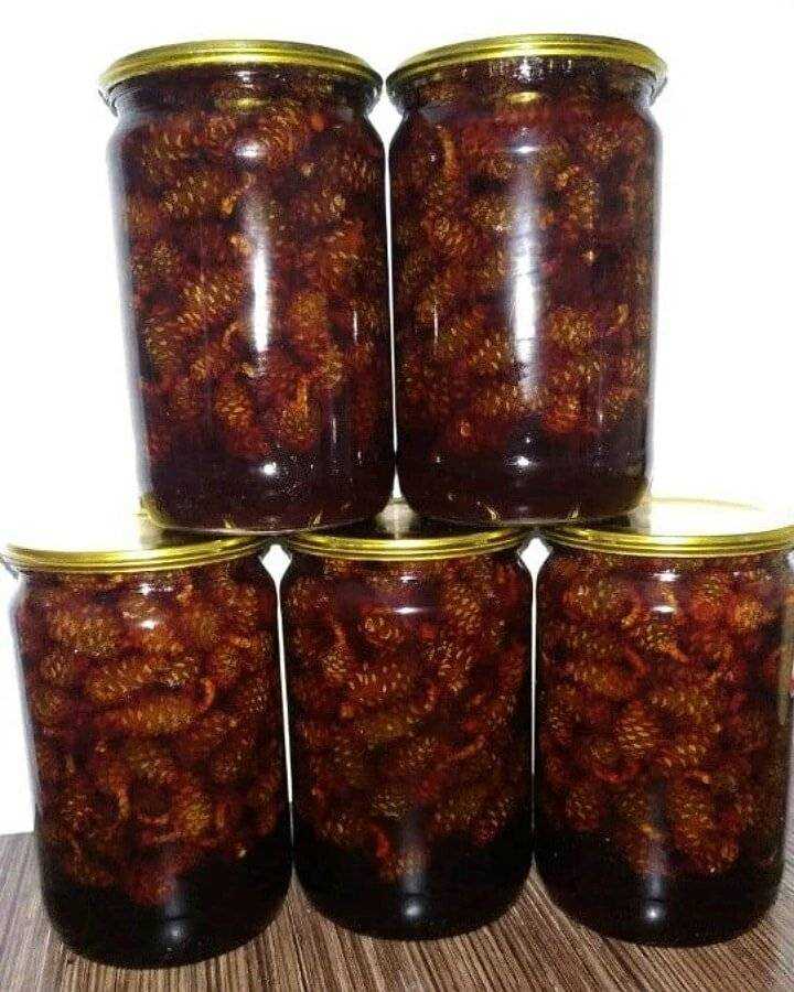 Варенье из сосновых шишек. самые вкусные рецепты приготовления