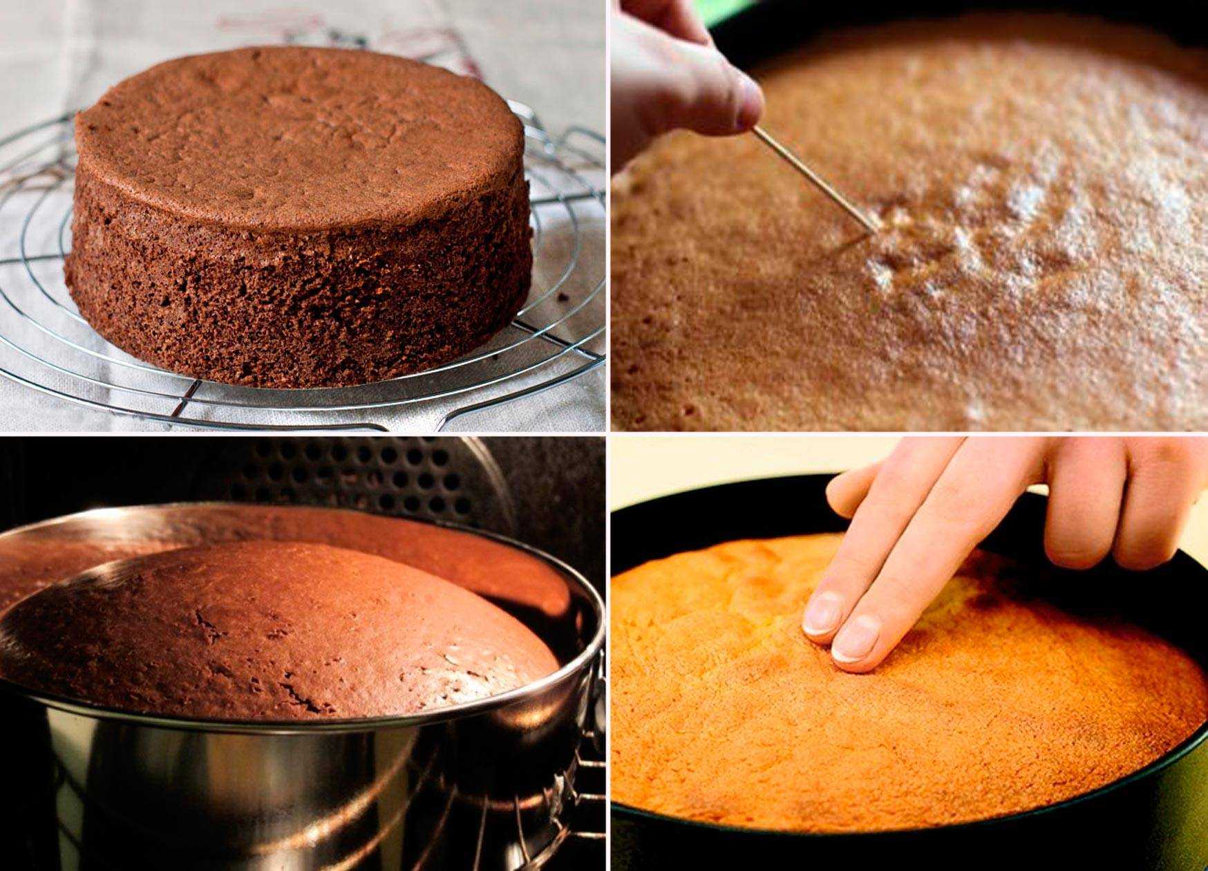 Бисквитное тесто выпекают. Приготовление бисквита. Бисквитное тесто для торта. Шоколадное тесто для бисквита. Шоколадный бисквит для торта.