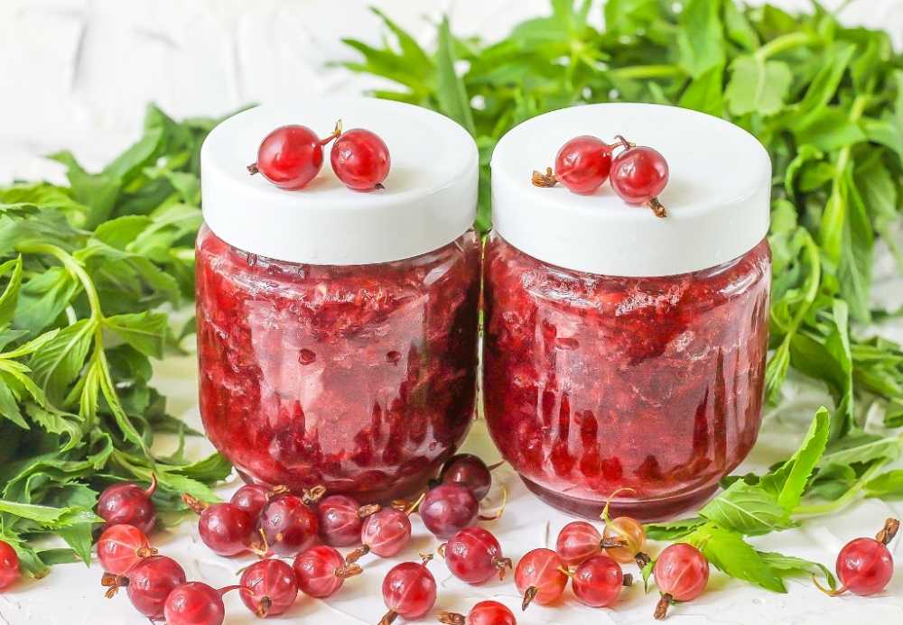 Крыжовник на зиму без варки: лучшие рецепты заготовки