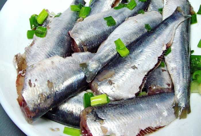 Салака в томатном соусе - вкусное блюдо, которое можно приготовить на обед или заготовить на зиму, в банках Тушим её в томатном соусе по особому рецепту
