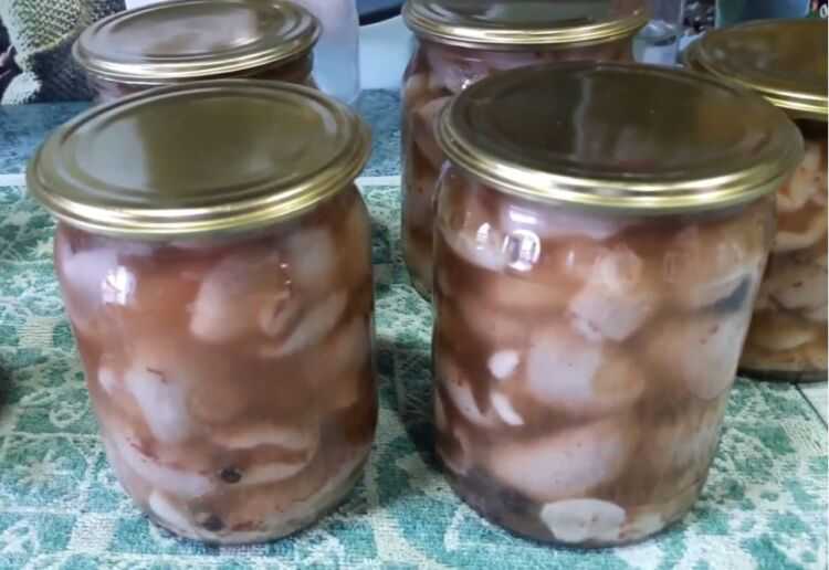 Маринованные маслята на зиму – самые вкусные рецепты приготовления