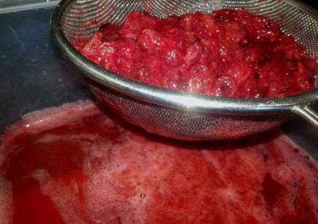 Сливовое пюре на зиму с сахаром. домашнее пюре из сливы для ребенка