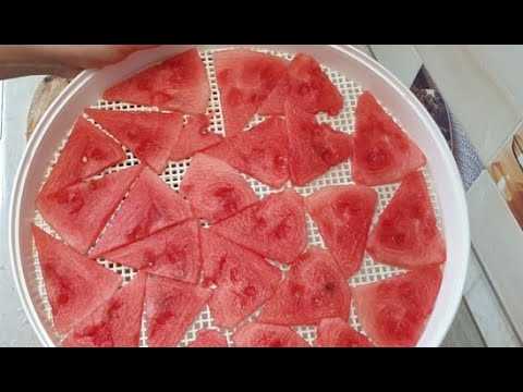 Пастила из яблок в домашних условиях — 7 простых рецептов