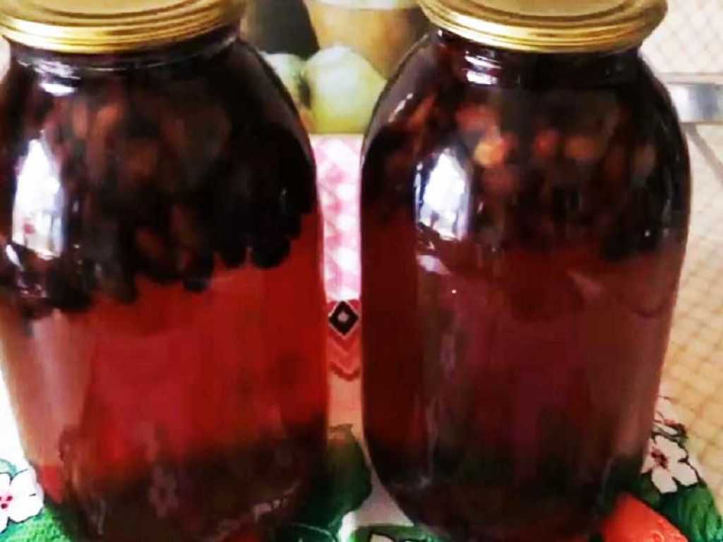 Варенье из жимолости – рецепты на зиму, польза, вред и калорийность