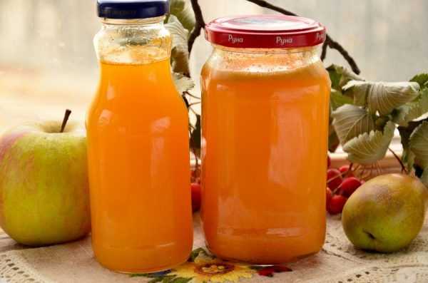 Сок из тыквы на зиму в домашних условиях: 8 вкусных рецептов