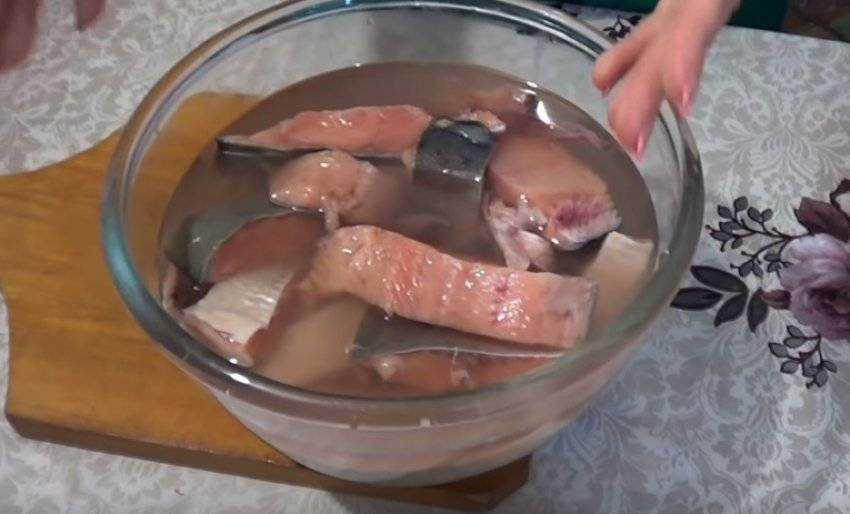 🚩 как засолить щуку в домашних условиях: лучшие идеи