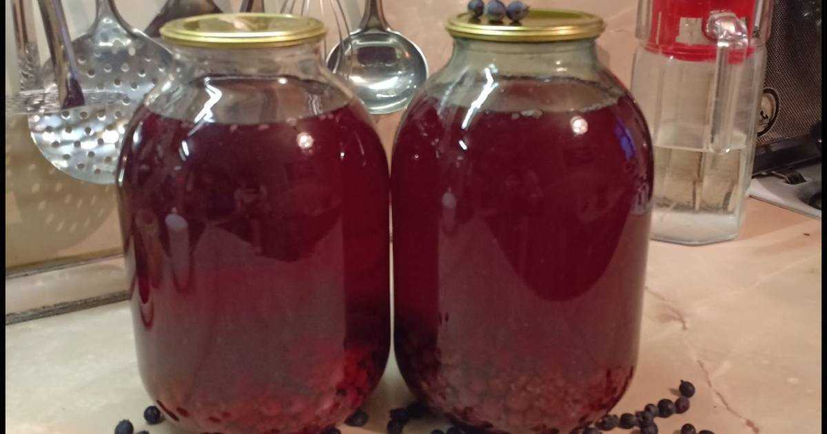 Компот из ирги (на 3-литровую банку) на зиму: 9 рецептов