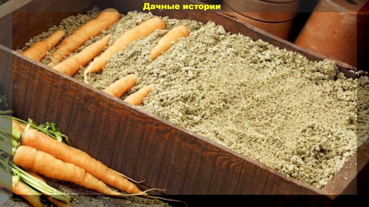 Польза опилок для огорода | 5 способов применения опилок в саду и огороде