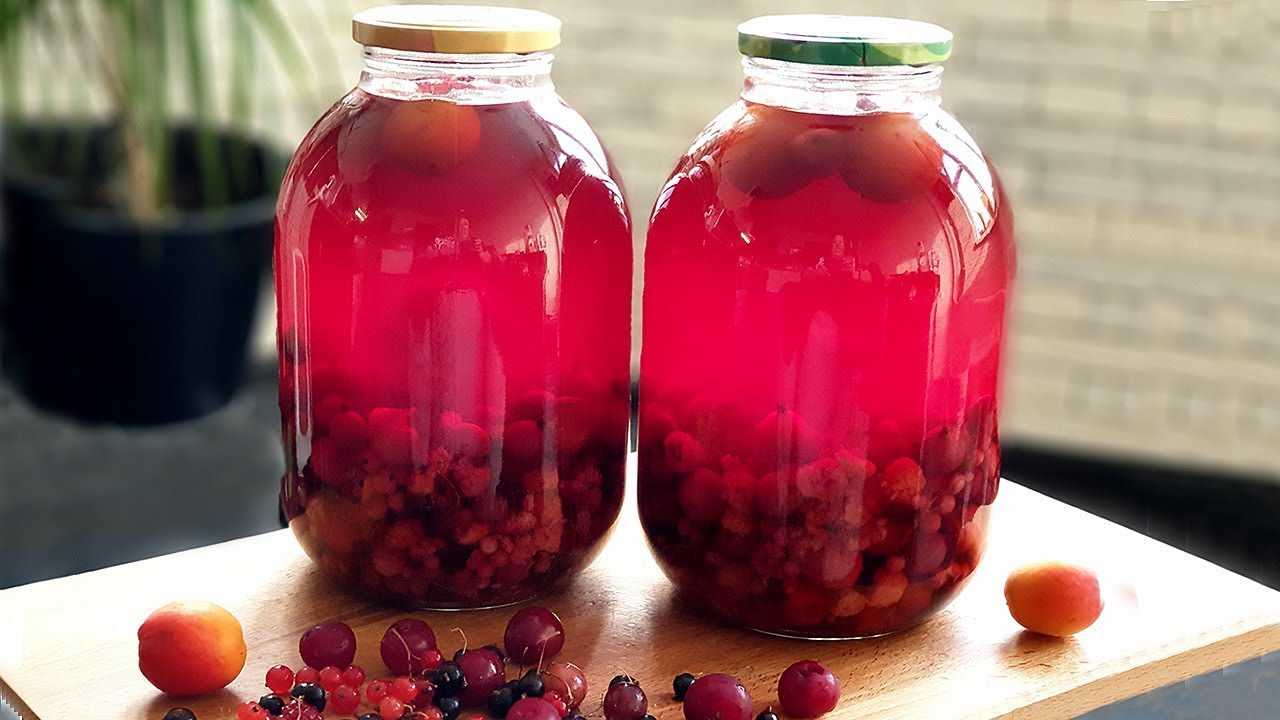 Компот из брусники пошаговый рецепт быстро и просто от киры яковлевой