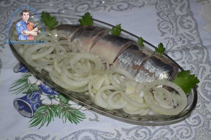 Рецепты маринованной селедки с томатом — кулинария, рецепты