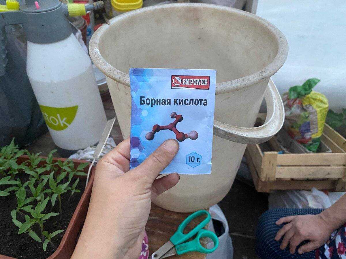 Для чего используется борная кислота