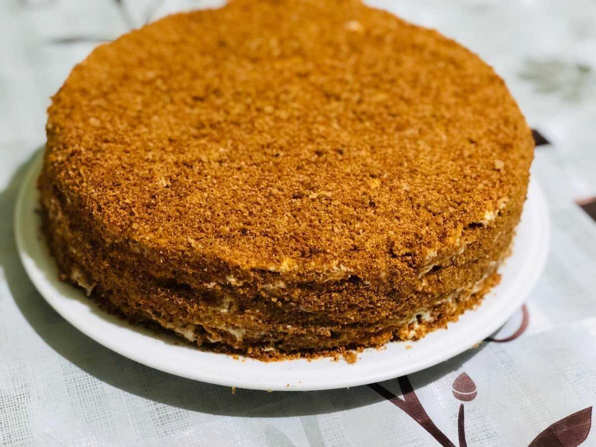 Торт рыжик сметанный рецепт