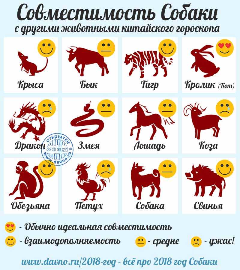 Новый год 2020 как встречать и что готовить. в чем встречать год крысы и в каком цвете  