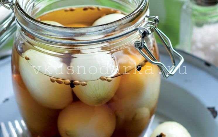 Красный лук на зиму в банках: маринованный и с овощами