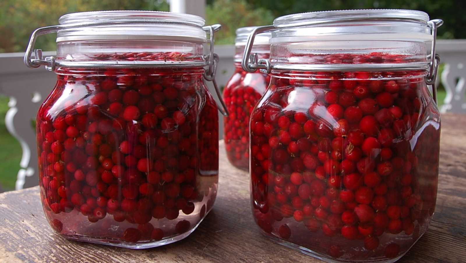 Калина — рецепты приготовления на зиму калины красной