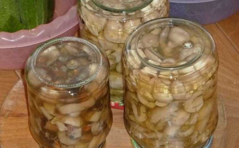 Маринованные сыроежки на зиму быстрый и простой пошаговый рецепт с фото от копилки кулинара