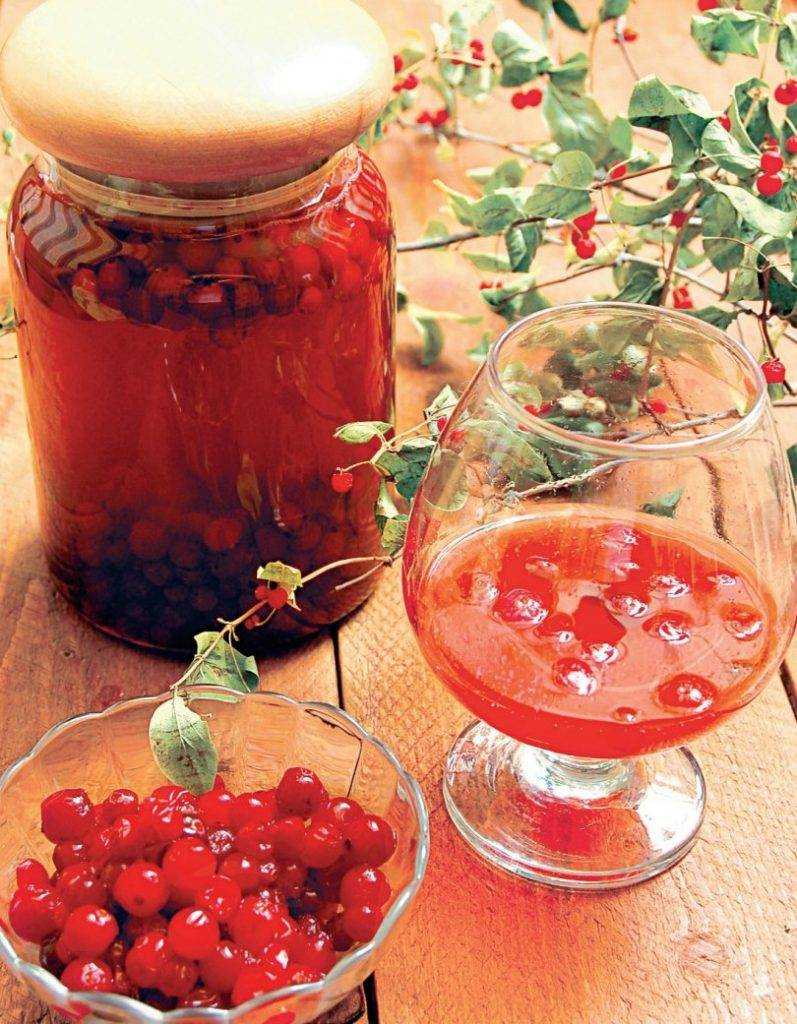 Как сварить компот из яблок и брусники в кастрюле, рецепты компота