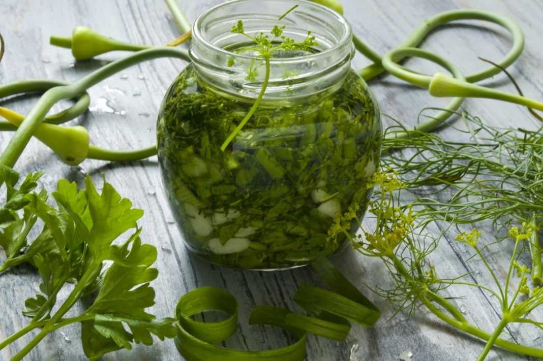 Секреты сушки корня петрушки: как правильно высушить и сохранить вкус и аромат в овощной сушилке