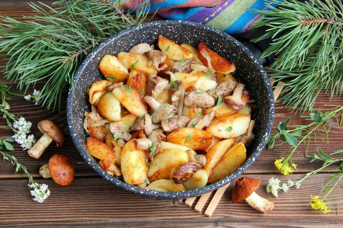 Грибы в сметане - 10 безумно вкусных рецептов с фото и советы по приготовлению