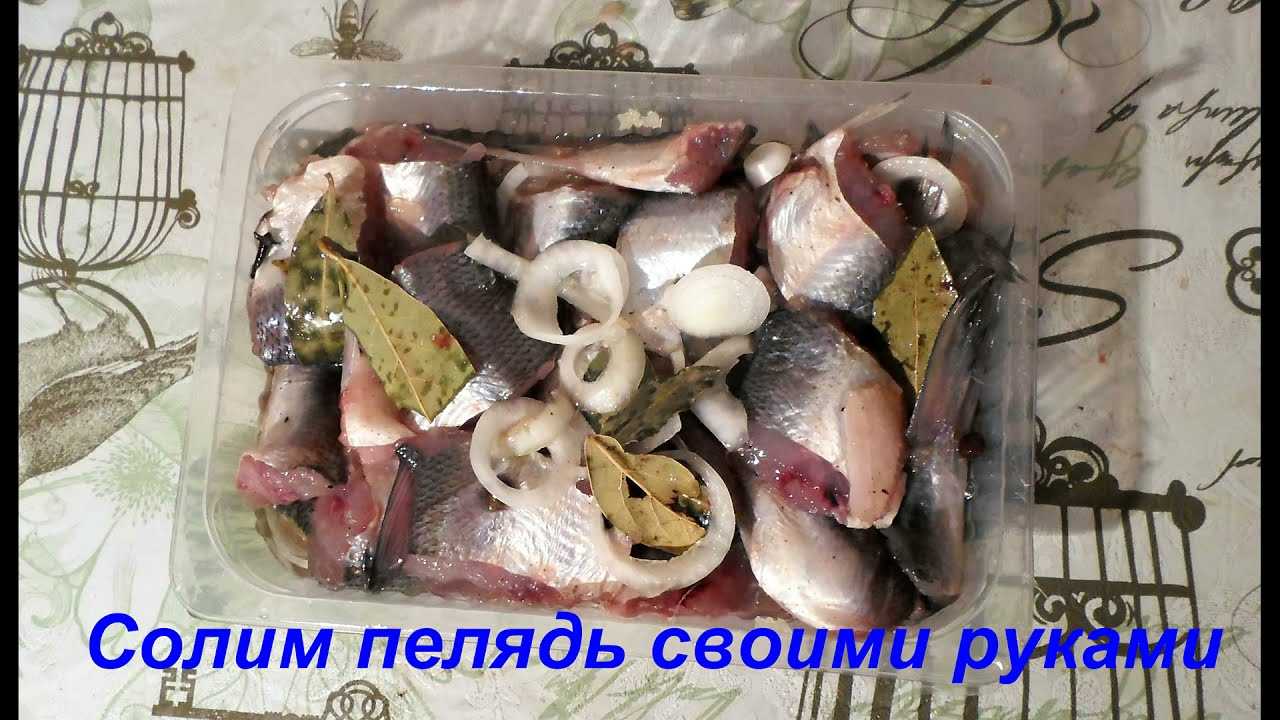 Как солить пелядь: способы домашнего приготовления