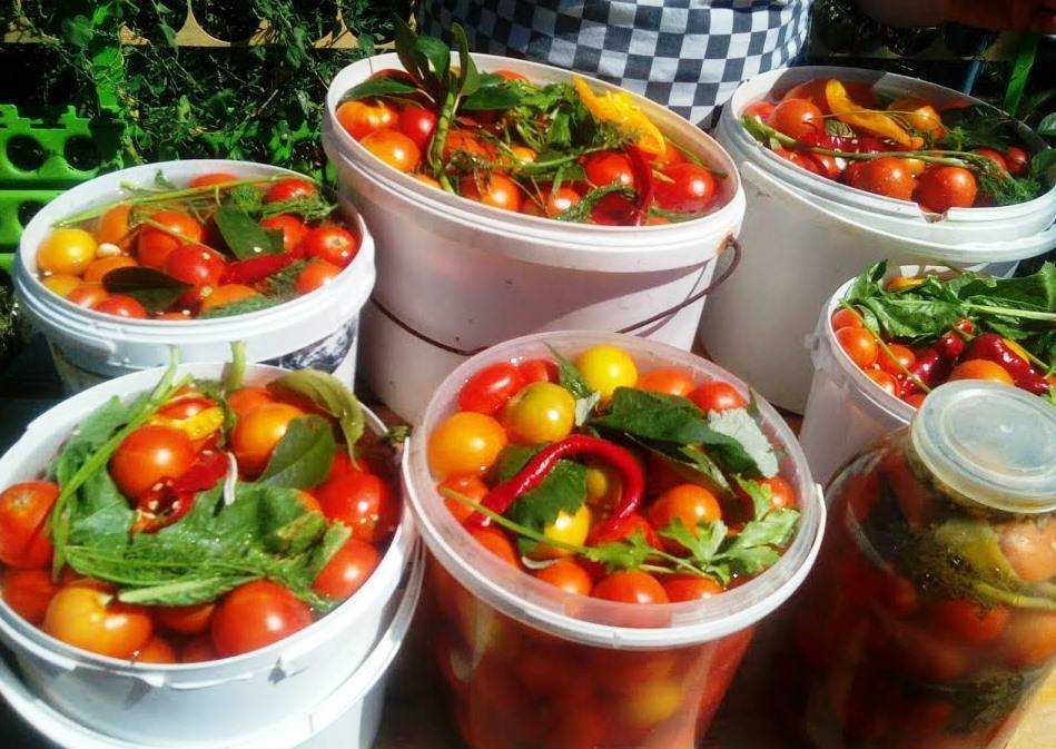 Соленые помидоры на зиму в банках - очень вкусные рецепты