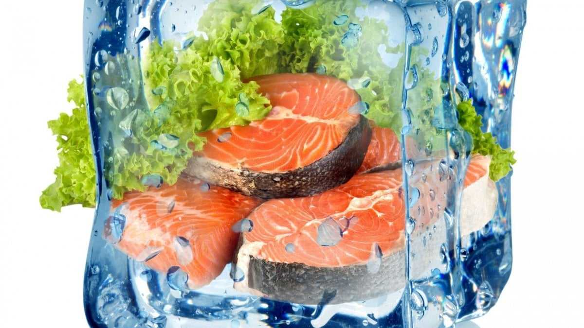 Как хранить щуку, чем она полезна, как выбрать, сроки годности рыбы