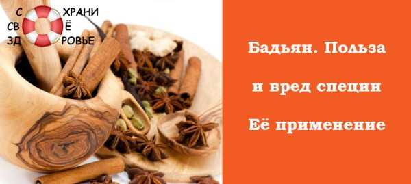 Про «звёздную» специю бадьян: польза для здоровья и применение в кулинарии