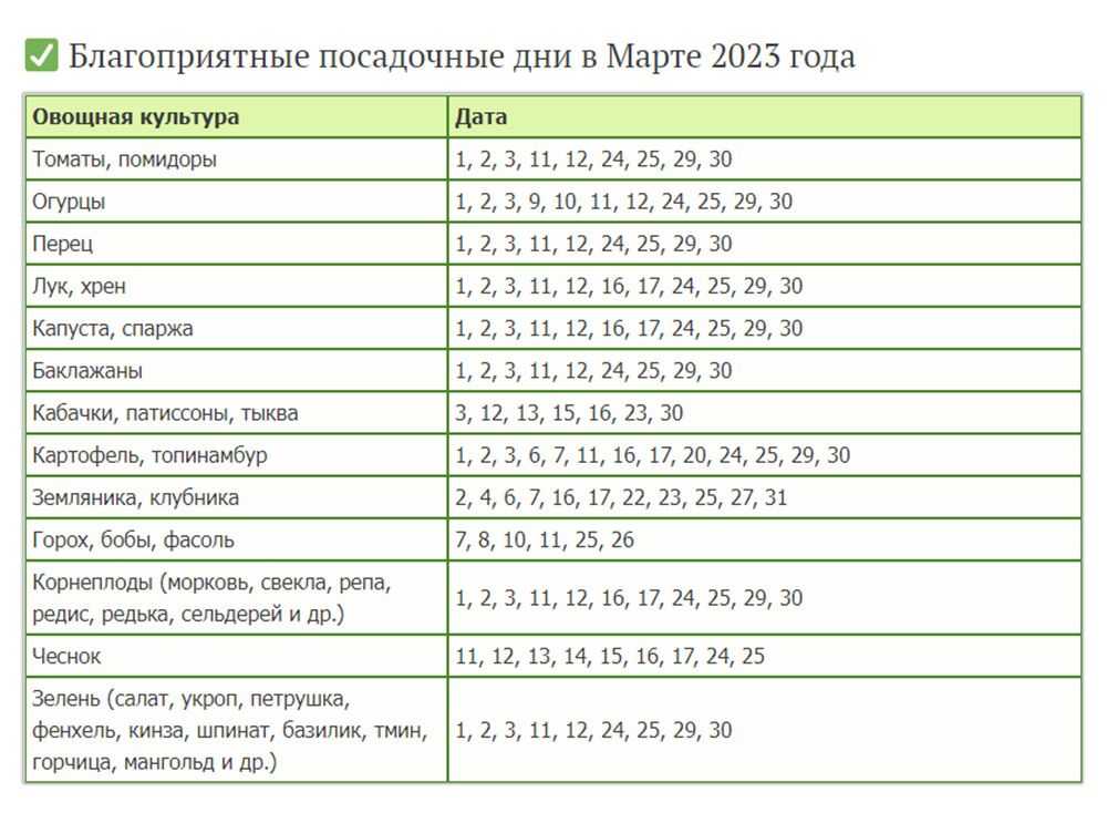 Когда высаживать рассаду баклажанов в открытый грунт: сроки для разных регионов