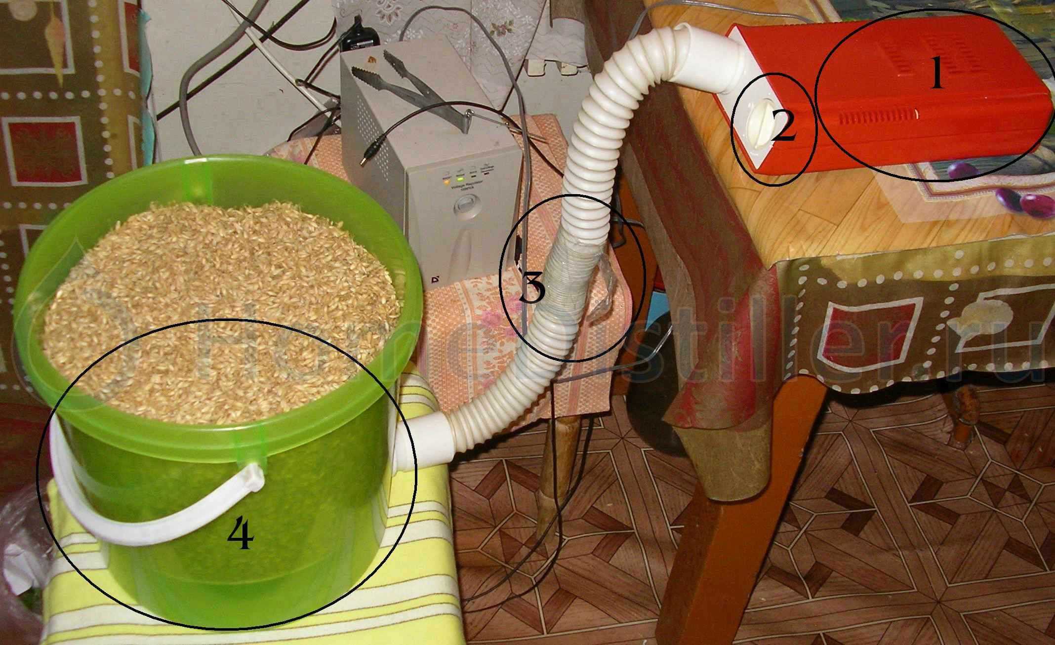 Основные способы сушки кукурузы