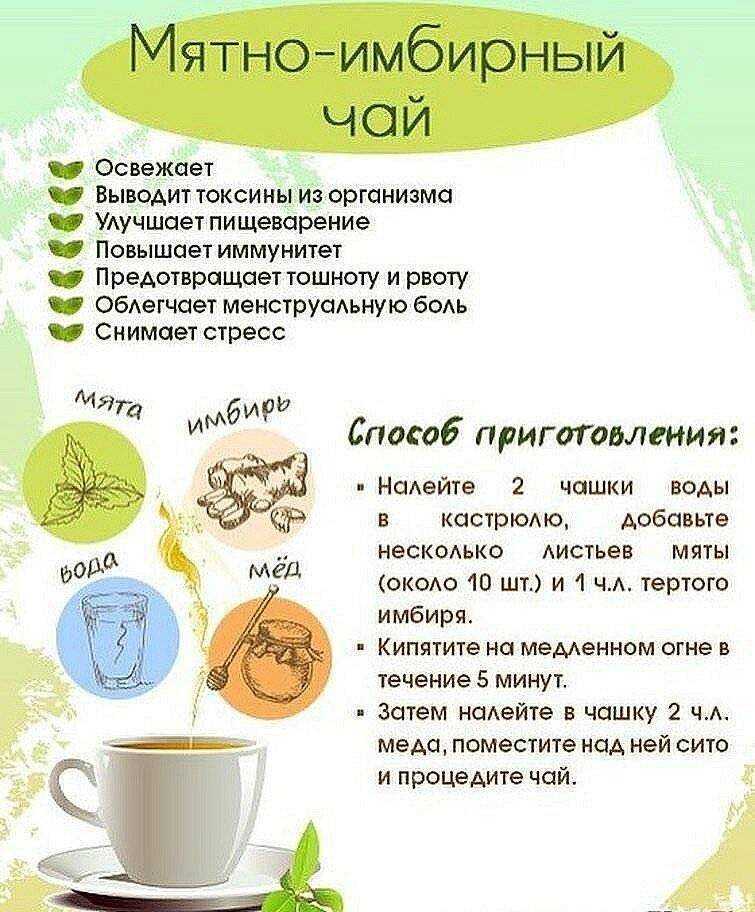 Облепиховый чай рецепт самого вкусного и полезного напитка