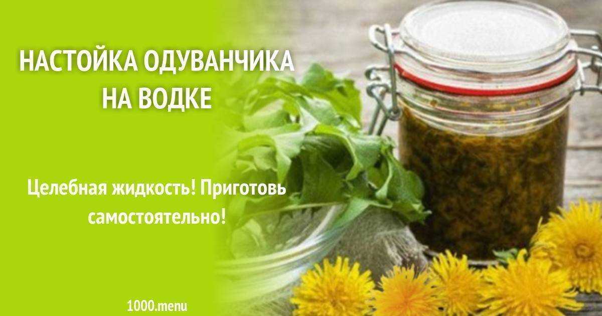 Настойка из цветов одуванчиков: домашние рецепты на водке и спирту
