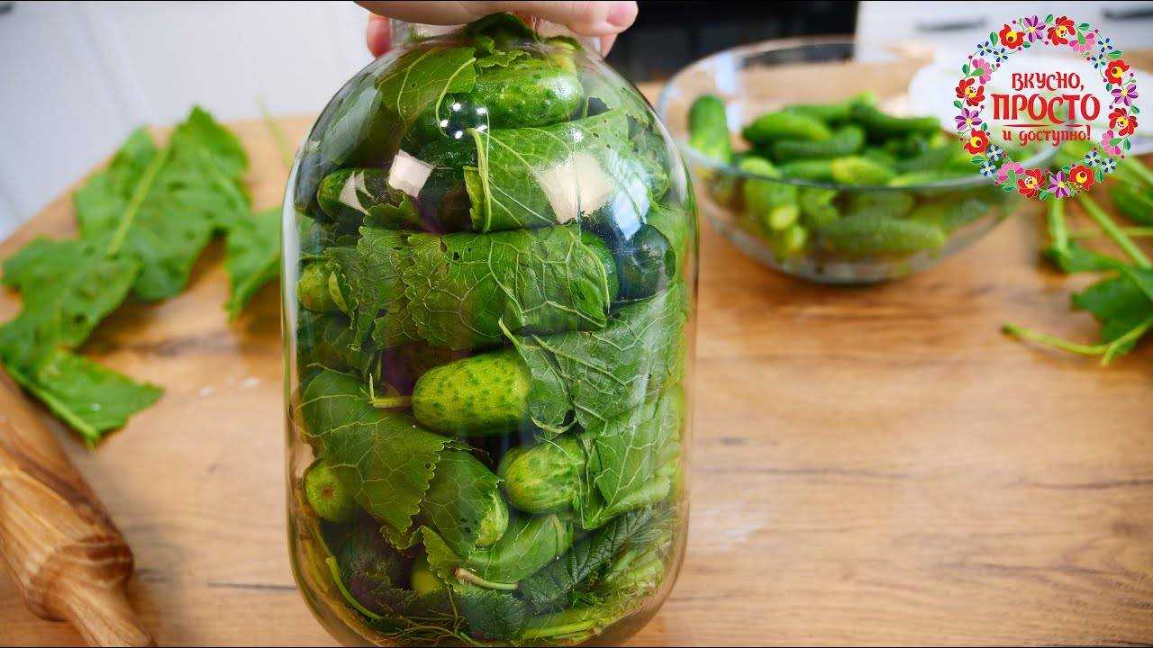 Засолка огурцов на зиму в листьях хрена: рецепт пошагово с фото